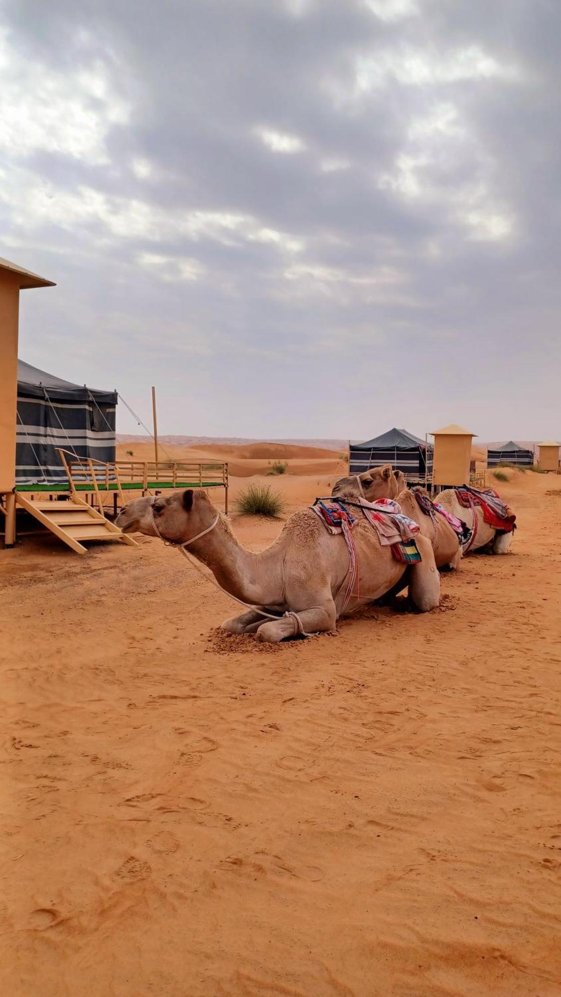 Отель Sunrise Desert Local Private Camp Bidiya Экстерьер фото